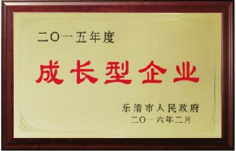 成長型企業(yè)