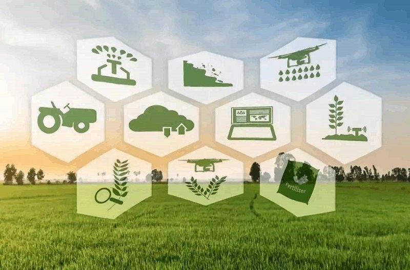 1706517342170731.jpg 15.jpg